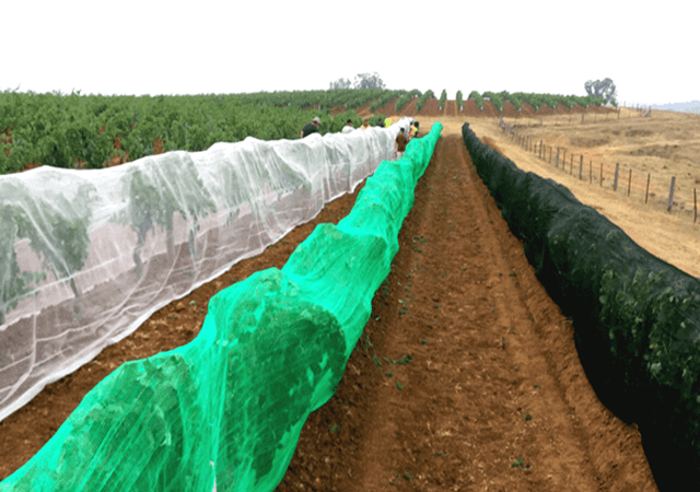 Δικτυα προστασίας απο τον καιρό